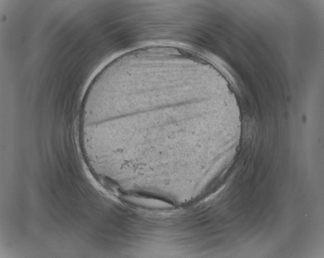 X0000083651100200703121739