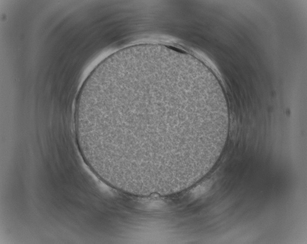 X0000083651103200703121739