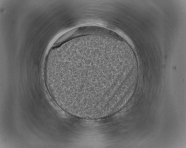 X0000083651104200703121739