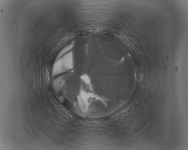 X0000083651106200703121738