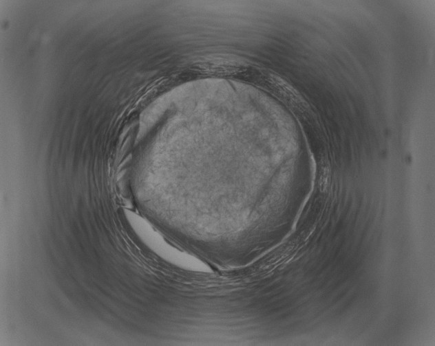 X0000083651108200703121738