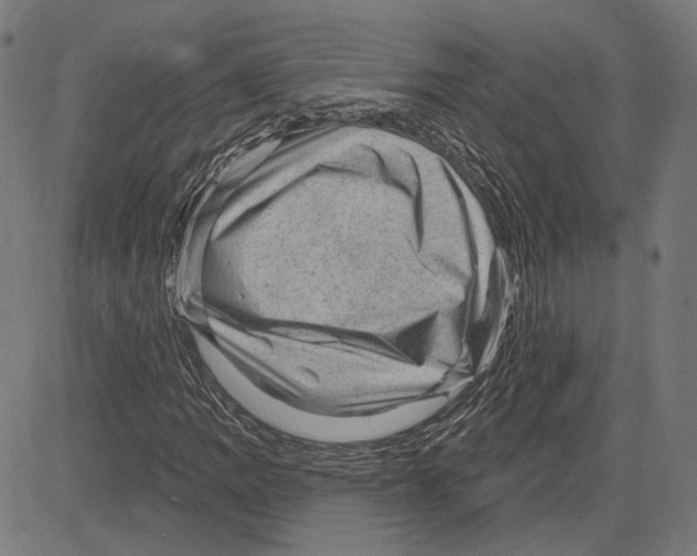 X0000083651109200703121738