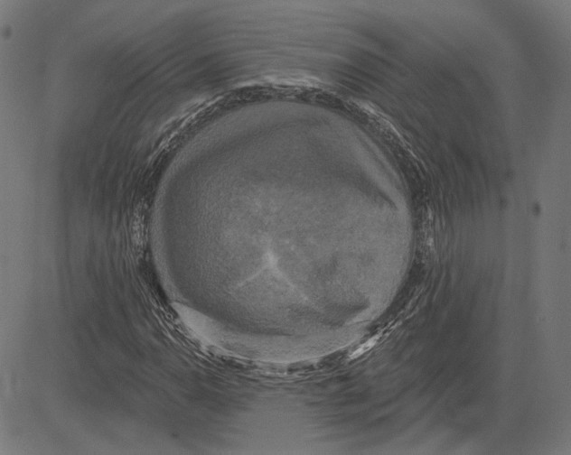 X0000083651110200703121738