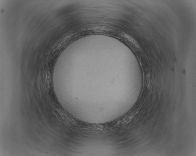 X0000083651111200703121738