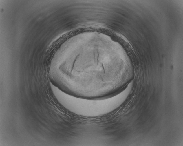 X0000083651112200703121738