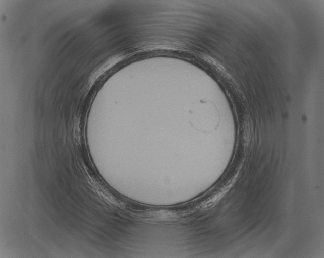 X0000083651113200703121738