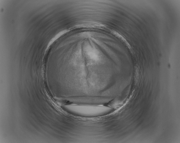 X0000083651114200703121738