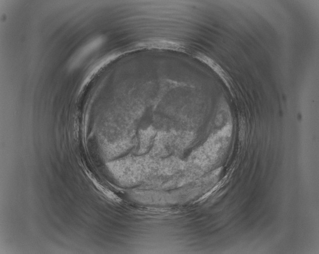 X0000083651115200703121738