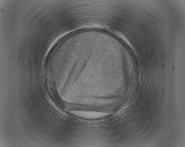 X0000083651116200703121738