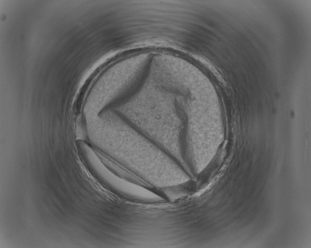 X0000083651118200703121738