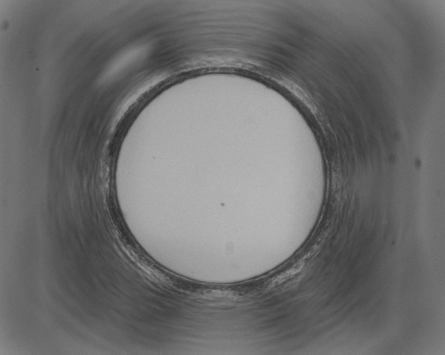 X0000083651119200703121738