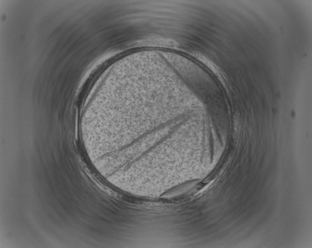 X0000083651123200703121738