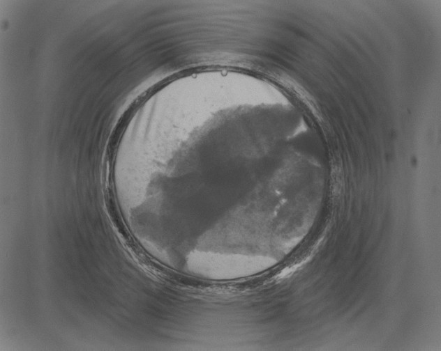 X0000083651125200703121738