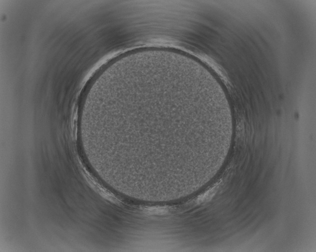 X0000083651126200703121738