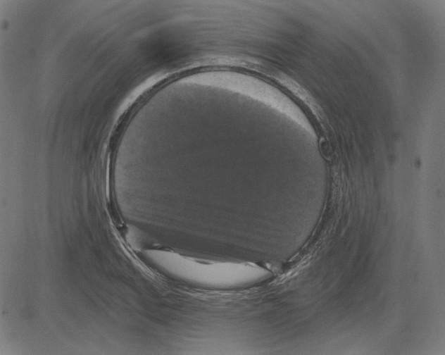 X0000083651127200703121738