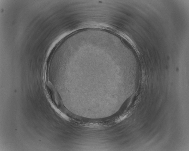 X0000083651128200703121738