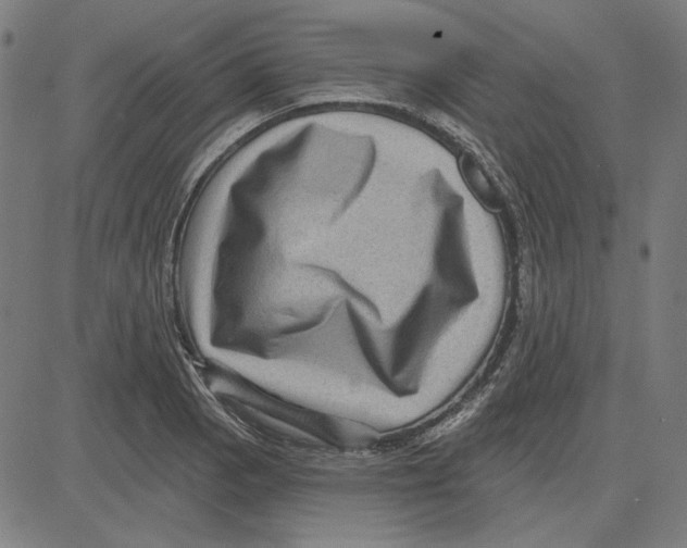 X0000083651129200703121738