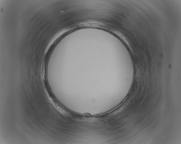 X0000083651131200703121738