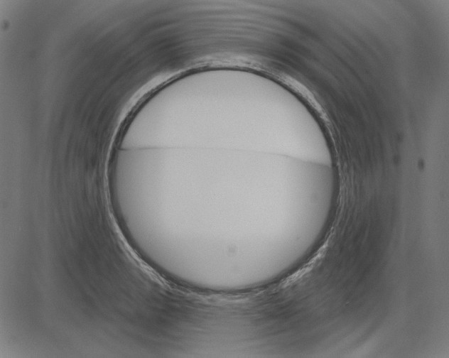 X0000083651133200703121738