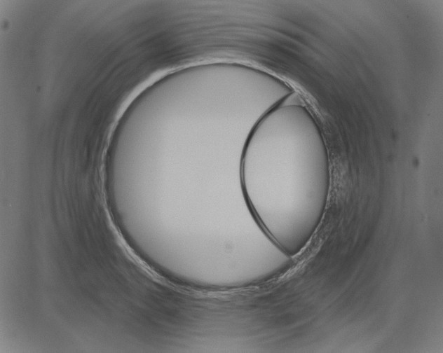 X0000083651134200703121738