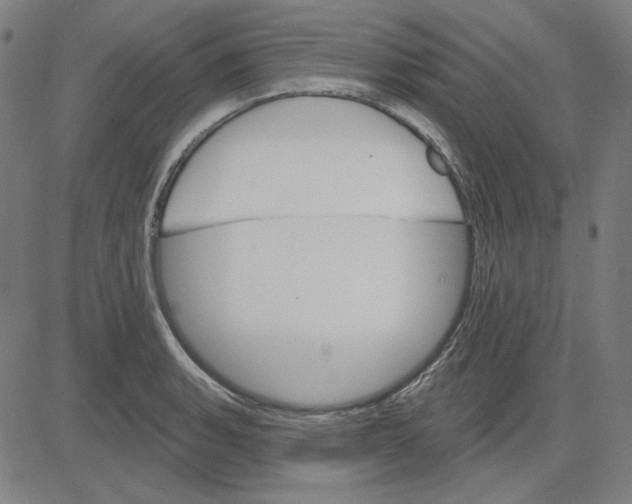 X0000083651135200703121738