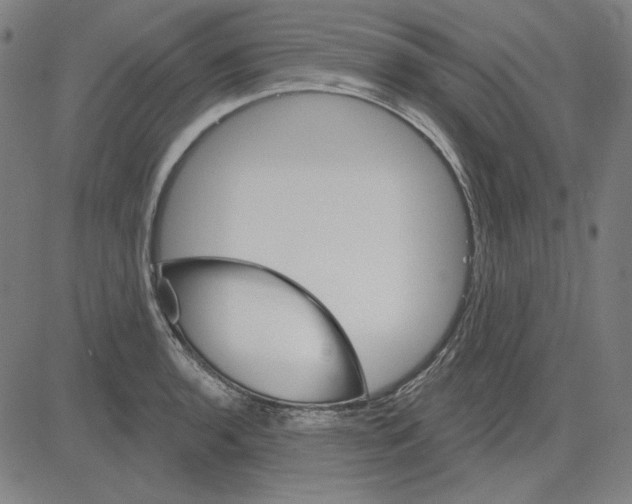 X0000083651136200703121738