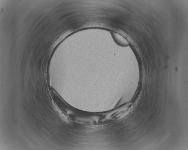 X0000083651137200703121738