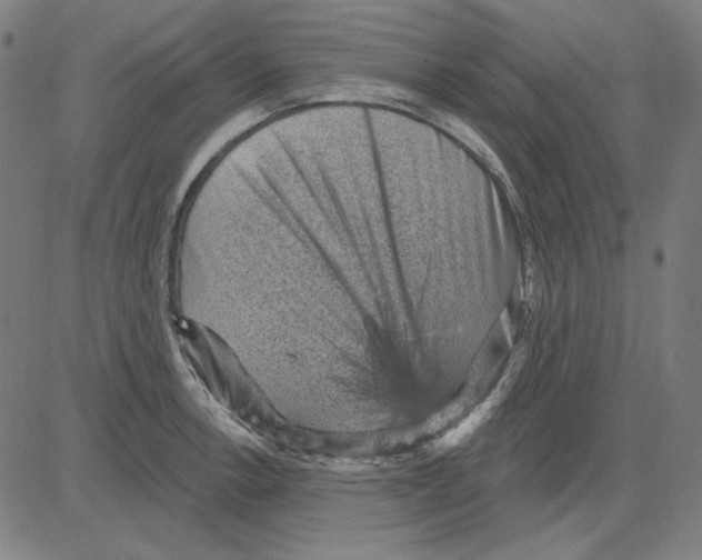 X0000083651138200703121739