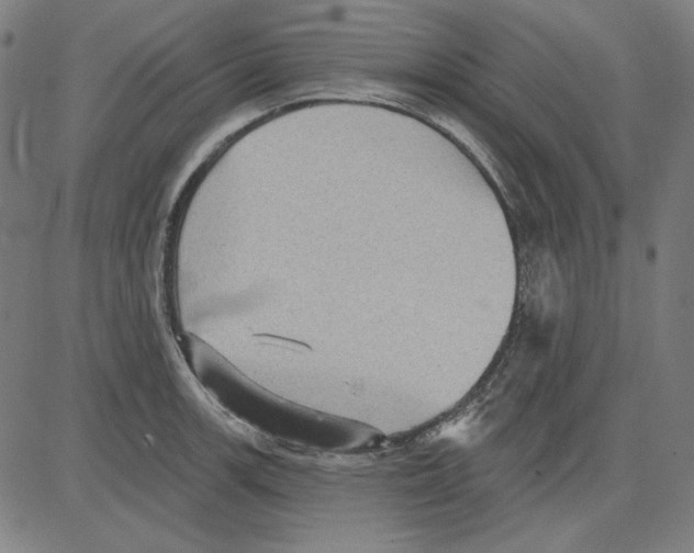 X0000083651139200703121739