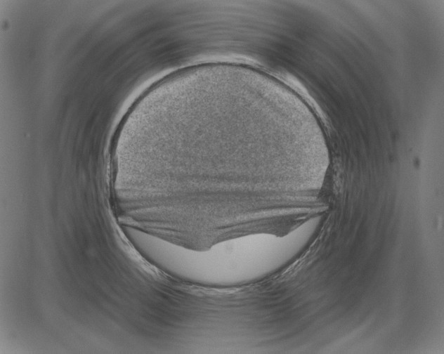 X0000083651140200703121739