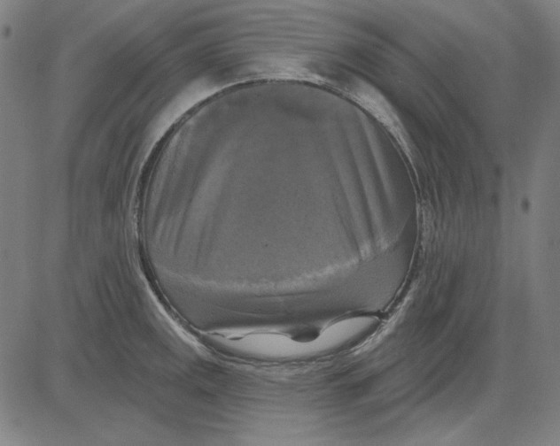 X0000083651141200703121739