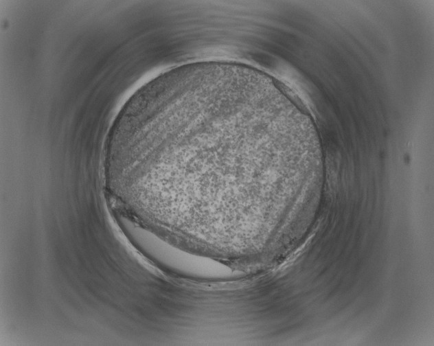 X0000083651142200703121739