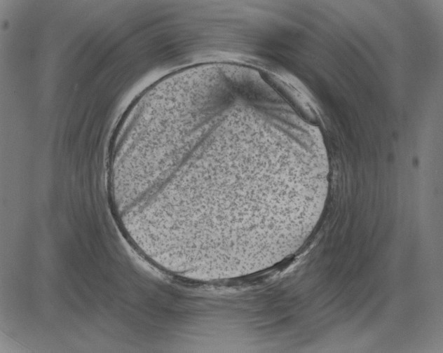 X0000083651143200703121739