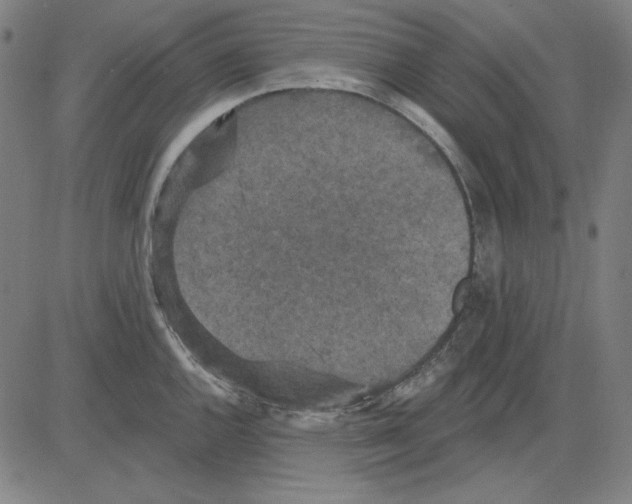 X0000083651144200703121739