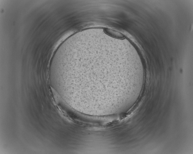 X0000083651145200703121739