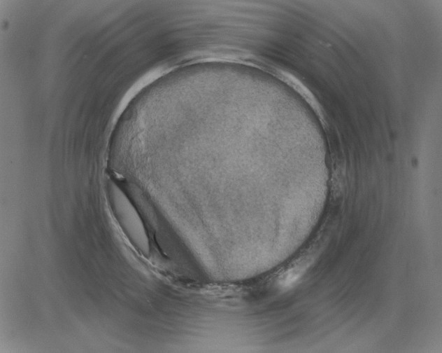 X0000083651146200703121739