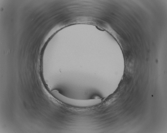 X0000083651147200703121739