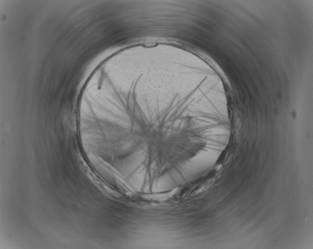 X0000083651148200703121739