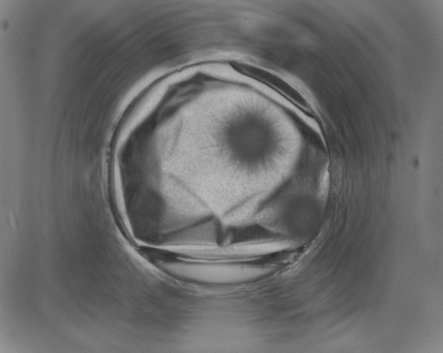 X0000083651151200703121739