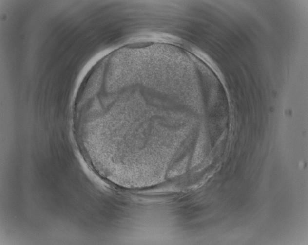 X0000083651152200703121739