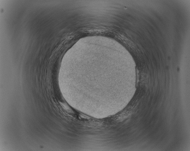 X0000083651153200703121738