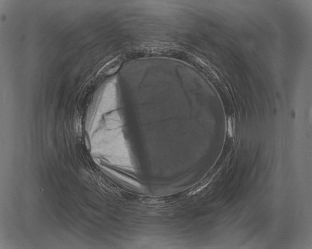 X0000083651155200703121738