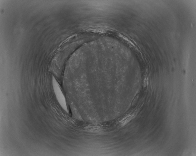 X0000083651156200703121738