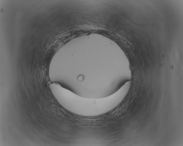 X0000083651157200703121738