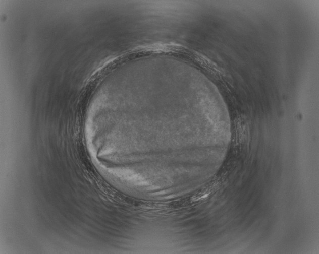 X0000083651158200703121738