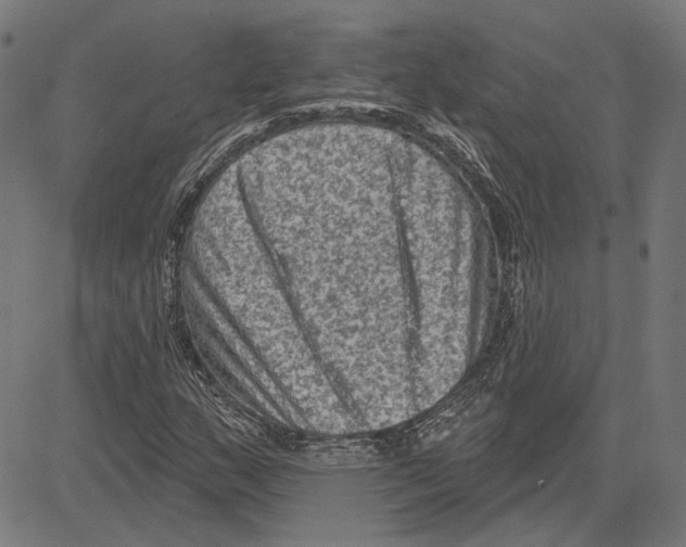 X0000083651159200703121738