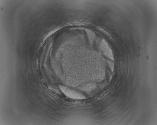 X0000083651160200703121738