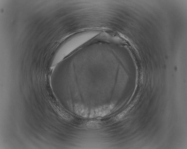 X0000083651161200703121738