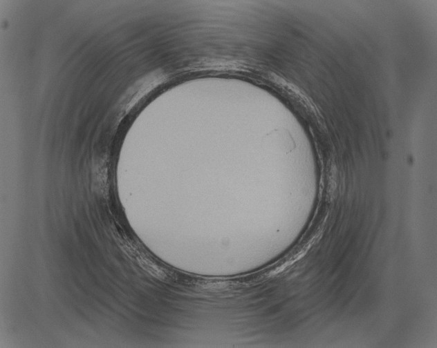 X0000083651162200703121738