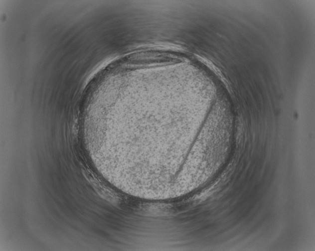 X0000083651163200703121738